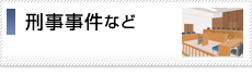 刑事事件など